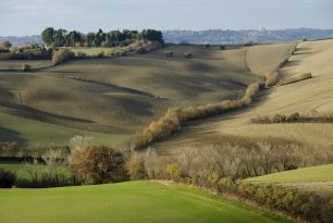 Foto di Picotti Tito