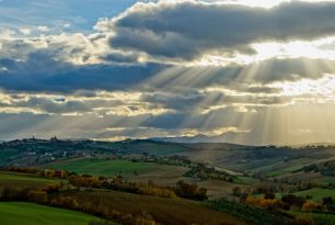 Foto di Picotti Tito